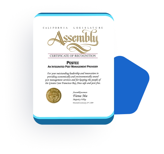 Certificate of Recognition from California Assembly woman Fiona Ma